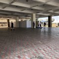 IMG_0591-copy-2