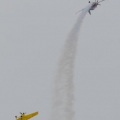 constanta_combat