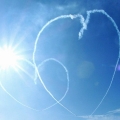 CIN-heart