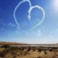 love in the desert
