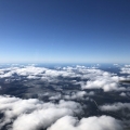 20180517_205041216_iOS
