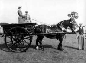 Gransden show H G Jefferies